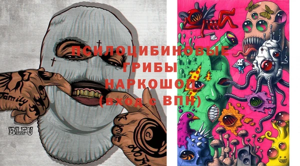 крисы Краснослободск