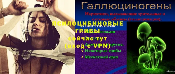 соль ск Коряжма