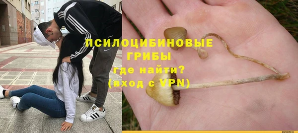 соль ск Коряжма