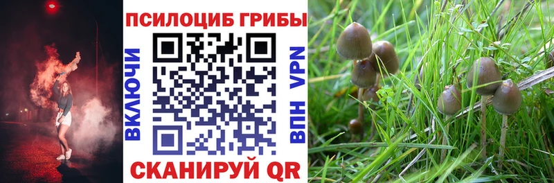 Галлюциногенные грибы мухоморы  Михайловка 